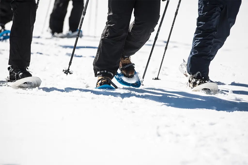 Schneeschuhwandern mit team projekt: Nahaufnahme von Schneeschuhen im Schnee während einer geführten Schneeschuhtour – ideales Firmen-Event, Teambuilding und Winterincentive