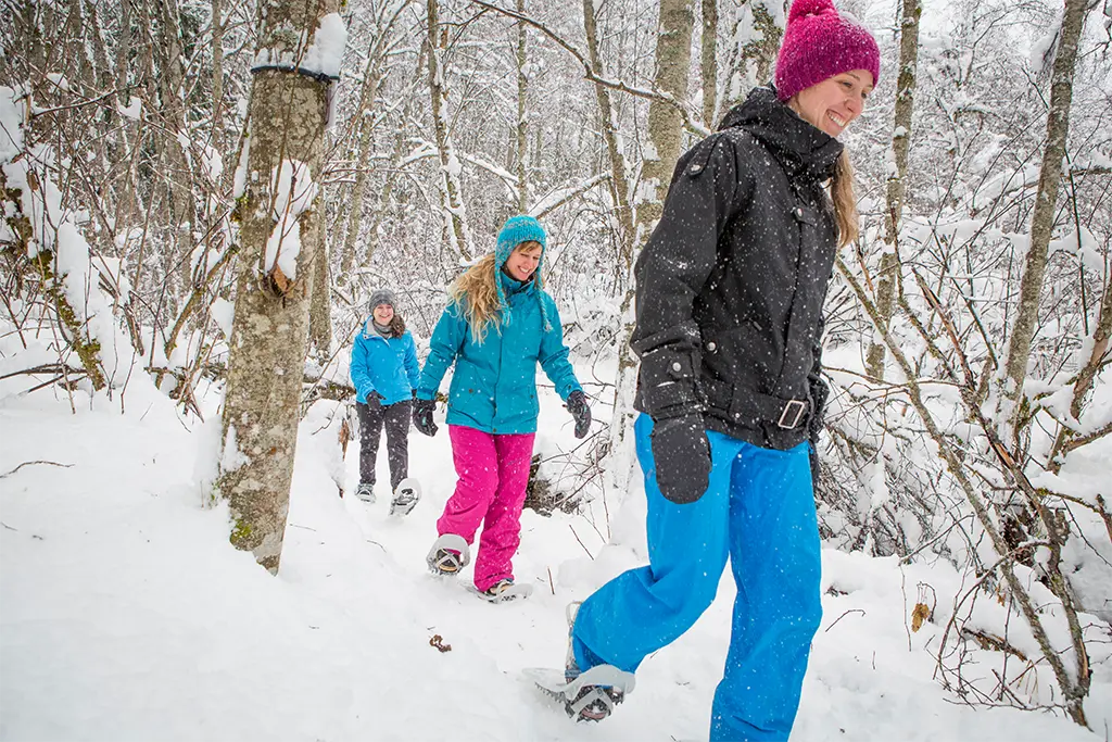 Teilnehmer eines Firmenevents im Winter, die mit Schneeschuhen durch den winterlichen Schwarzwald laufen
