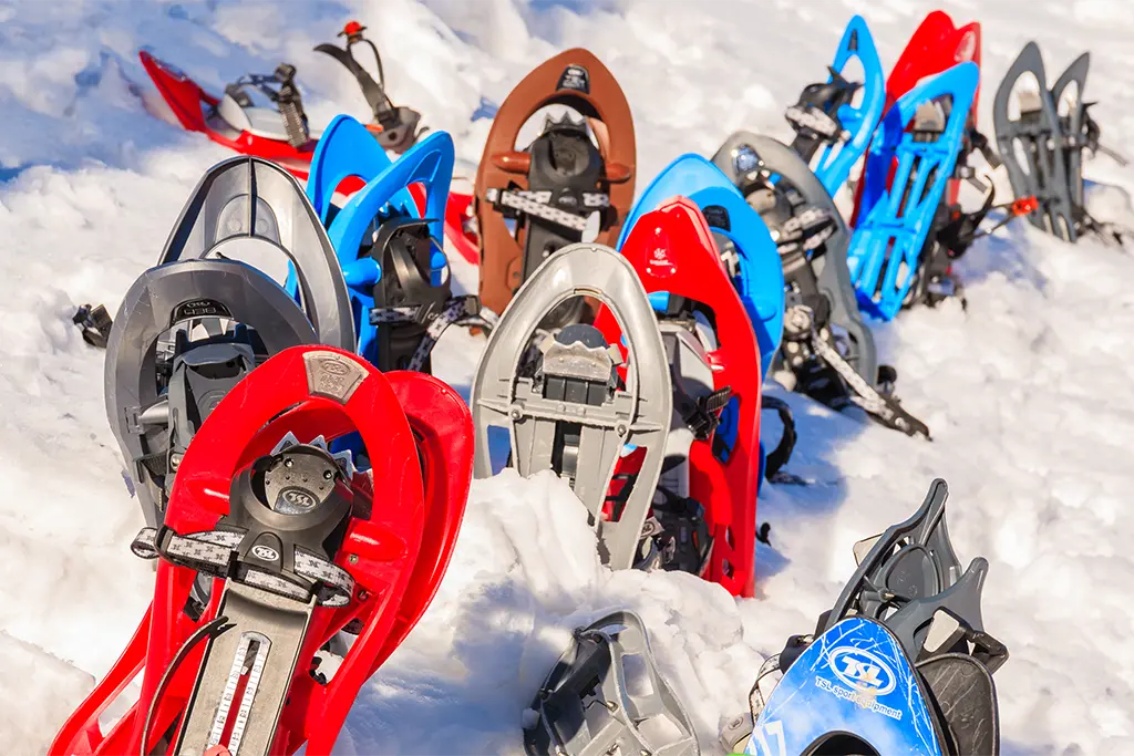 Foto mit vielen Schneeschuhen  im Schnee welche für eine Schneeschuh-Vermietung angeboten werden