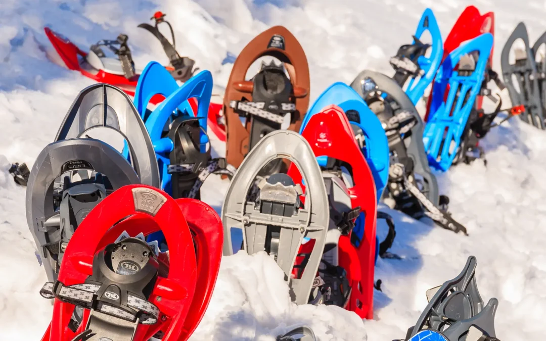 TEAMGEIST weckt den WINTERTRAUM!