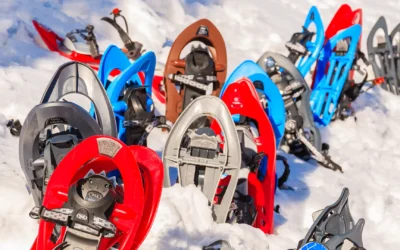TEAMGEIST weckt den WINTERTRAUM!